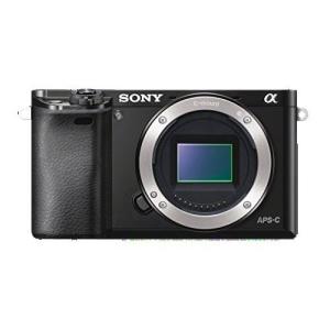 SONY 中古 1年保証 美品 NEX-5 ボディ ブラック : Premier SONY 中古 1年保証 美品 NEX-5 ボディ ブラック : Premier