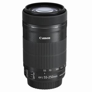 中古 １年保証 美品 Canon EF-S 55-250mm F4-5.6 IS STM｜premierecamera