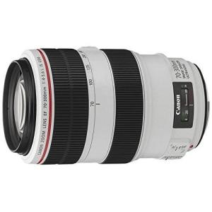 キヤノン 中古 1年保証 美品 Canon EF 100mm F2.8 マクロ キヤノン 中古 1年保証 美品 Canon EF 100mm F2.8 マクロ