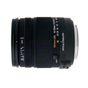 中古 １年保証 美品 SIGMA 18-125mm F3.8-5.6 DC OS HSM キヤノン