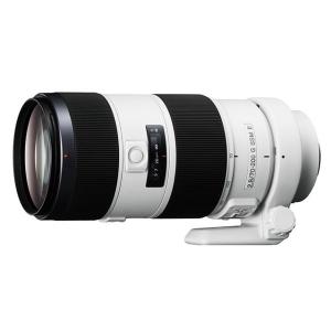 SONY（ソニー） 中古 1年保証 美品 SONY 100mm F2.8 Macro [SAL100M28