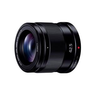 Panasonic（パナソニック） 中古 1年保証 美品 Panasonic LEICA DG