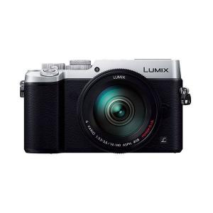 中古 １年保証 美品 Panasonic LUMIX DMC-GX8 14-140mm 付属 シルバ...