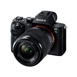 SONY 中古 1年保証 美品 NEX-5 ボディ ブラック : Premier SONY 中古 1年保証 美品 NEX-5 ボディ ブラック : Premier