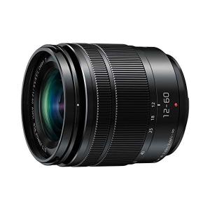 Panasonic（パナソニック） 中古 1年保証 美品 Panasonic LUMIX G
