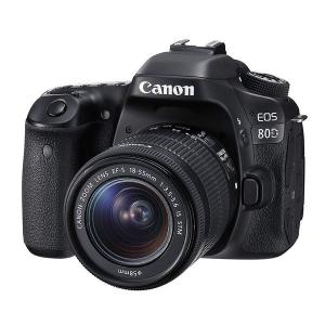 中古 １年保証 美品 Canon EOS 80D EF-S 18-55mm IS STM｜premierecamera