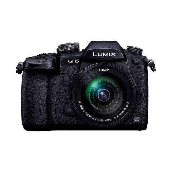 中古 １年保証 美品 Panasonic LUMIX DC-GH5M 標準ズームレンズキット