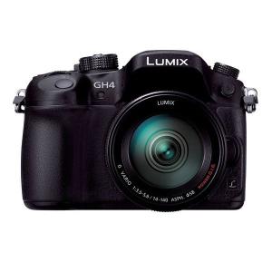 Panasonic 中古 1年保証 美品 LUMIX DMC-G8 標準ズームレンズ