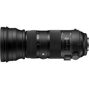 中古 1年保証 美品 SIGMA Sports...の詳細画像2