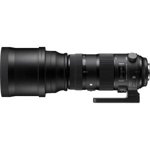 中古 1年保証 美品 SIGMA Sports...の詳細画像5