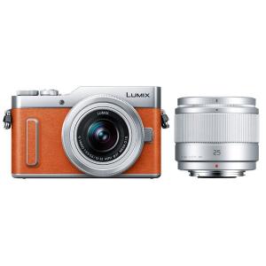 中古 １年保証 美品 Panasonic LUMIX DC-GF10 ダブルレンズキット 12-32...