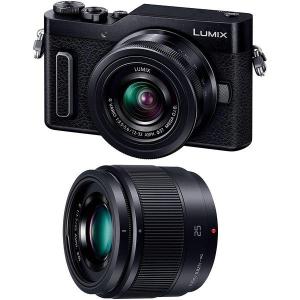 Panasonic（パナソニック） 中古 1年保証 美品 Panasonic LUMIX GF10