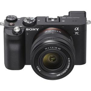 SONY（ソニー） 中古 1年保証 美品 SONY NEX-5 16mm 薄型広角レンズ