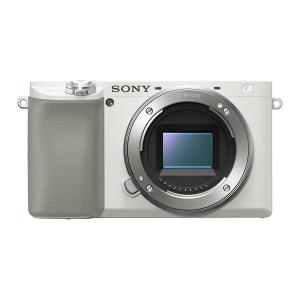 SONY（ソニー） 中古 1年保証 美品 SONY NEX-5 16mm 薄型広角レンズ