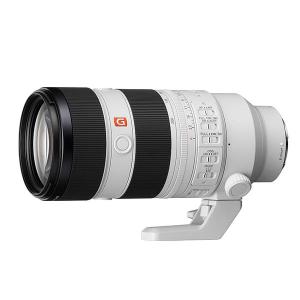 SONY（ソニー） 中古 1年保証 美品 SONY E 50mm F1.8 OSS シルバー
