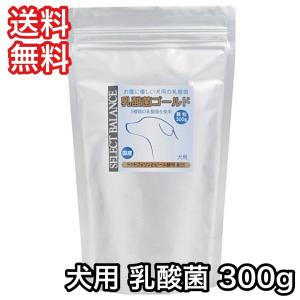 セレクトバランス 乳酸菌ゴールド 犬用 顆粒 300g 送料無料 賞味期限 2025年7月26日｜プレミアムフード専門店Asuka