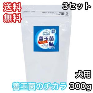 SELECT BALANCE セレクトバランス 善玉菌のチカラ 犬用 顆粒 300g 犬用