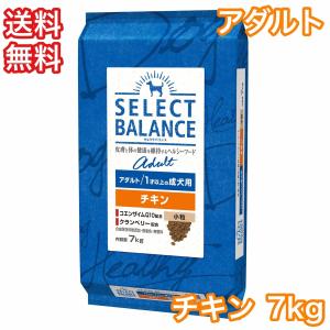 ベッツ・チョイス・ジャパン セレクトバランス チキン パピー 小粒