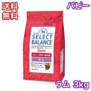 セレクトバランス ラム パピー 小粒 子犬 母犬用 3kg ドッグフード 送料無料