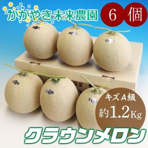 （訳アリ）クラウンメロン キズA級品6個 約1.2Kg前後×6