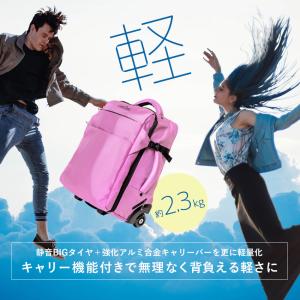 2wayキャリーバッグ リュック 機内持ち込み...の詳細画像4