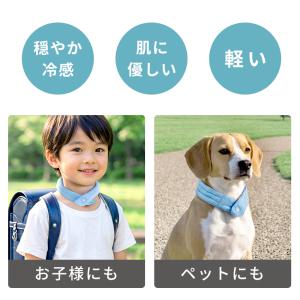 クーポンで1点790円〜 ネッククーラー 最強...の詳細画像5