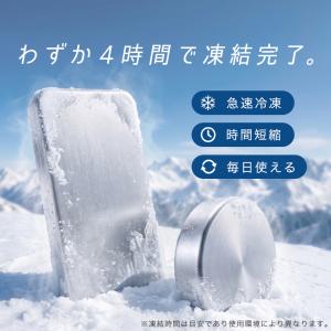 クーポンで1点990円〜 保冷剤 ステンレス ...の詳細画像4