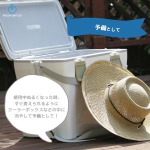 ヘッドクール FRESH SWITCH ひんや...の詳細画像2