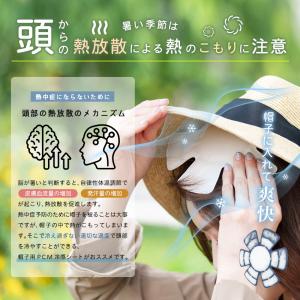 ヘッドクール FRESH SWITCH ひんや...の詳細画像5