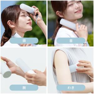 クーポンで1点980円〜 氷嚢 持ち運び 氷の...の詳細画像5