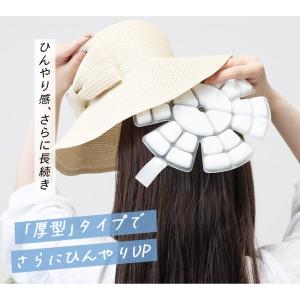 帽子用ひんやりシート ヘッドクール 帽子用 冷...の詳細画像5