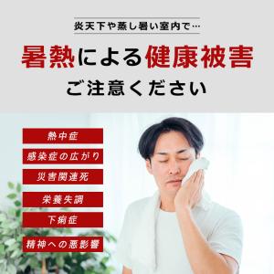 ヘルスウォッチ 熱中症対策グッズ 熱中症計 ウ...の詳細画像2