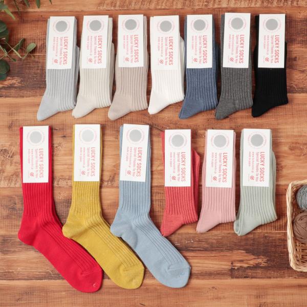 LUCKY SOCKS ラッキーソックス 当たり付き 靴下 ソックス スムースリブソックス メンズ ...