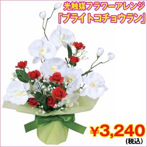 光触媒フラワーアレンジ「ブライトコチョウラン」 (胡蝶蘭,アートフラワー,