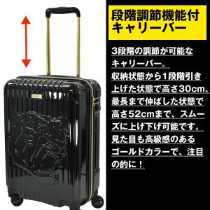 阪神タイガースキャリーケース(33L)(スーツケース 機内持ち込み 