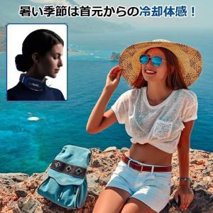 ペルチェクール&ウォーム NeoGIA ネオギ...の詳細画像1