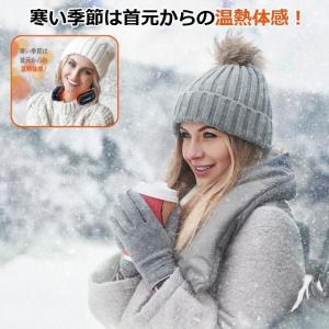 ペルチェクール&ウォーム NeoGIA ネオギ...の詳細画像2