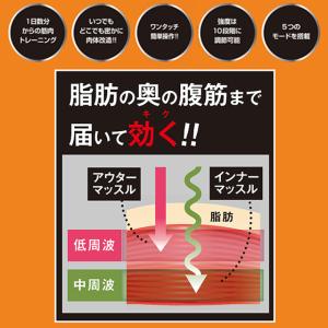 ZOOM ZONE ARM PRO(ズームゾー...の詳細画像5