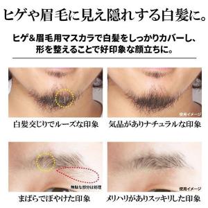 BRO.[ブロ]FOR MEN部分白髪染めクイ...の詳細画像1