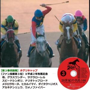 爆買 DVD「20世紀の名馬100」永久保存版...の詳細画像3