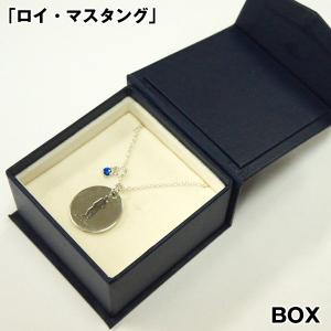 premium-pony_fok-hgr_6