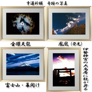 premium-pony_frm-pht01_3