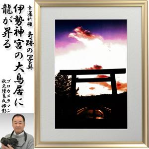 幸運祈願・奇跡の写真「金龍」(縁起の良い写真 パワーフォト