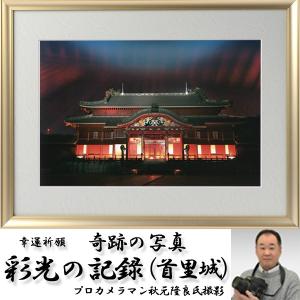 強いエネルギー波動を宿す神秘な文字 龍体文字 四神龍エナジーカード
