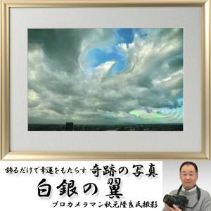 人気が高い 幸運をもたらす奇跡の写真 白蛇伝説 縁起の良い写真 開運招来写真天空の奇跡幸運を呼ぶ鳥 霊鳥 不思議写真 奇跡 開運 Photo Power 開運 金運グッズ 1841columbia Com