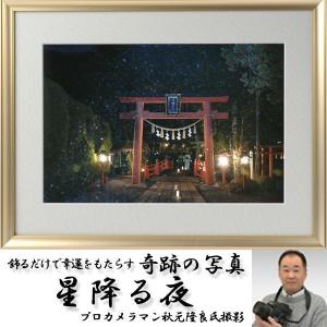 幸運祈願・奇跡の写真「月光のドラゴンアイ」(縁起の良い写真 POWER