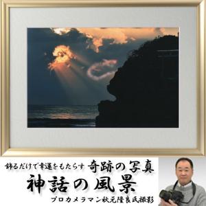 黄金龍（おうごんりゅう・出現） 開運祈願 縁起の良い写真 プロ