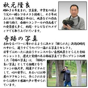 幸運をもたらす奇跡の写真「太陽龍」 (龍神雲 ...の詳細画像4