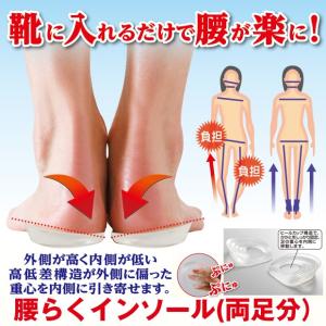 腰らくインソール(両足分) (腰が楽 内側荷重インソール