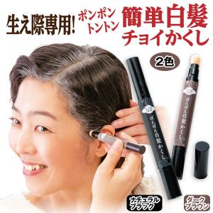 生え際専用ぽんぽん白髪かくし (パフ型ペンタイプ 白髪隠し 速乾タイプ 生え際 こめかみ もみあげ 簡単サッとひと塗り カラーリング 男女兼用 ヘアケア)